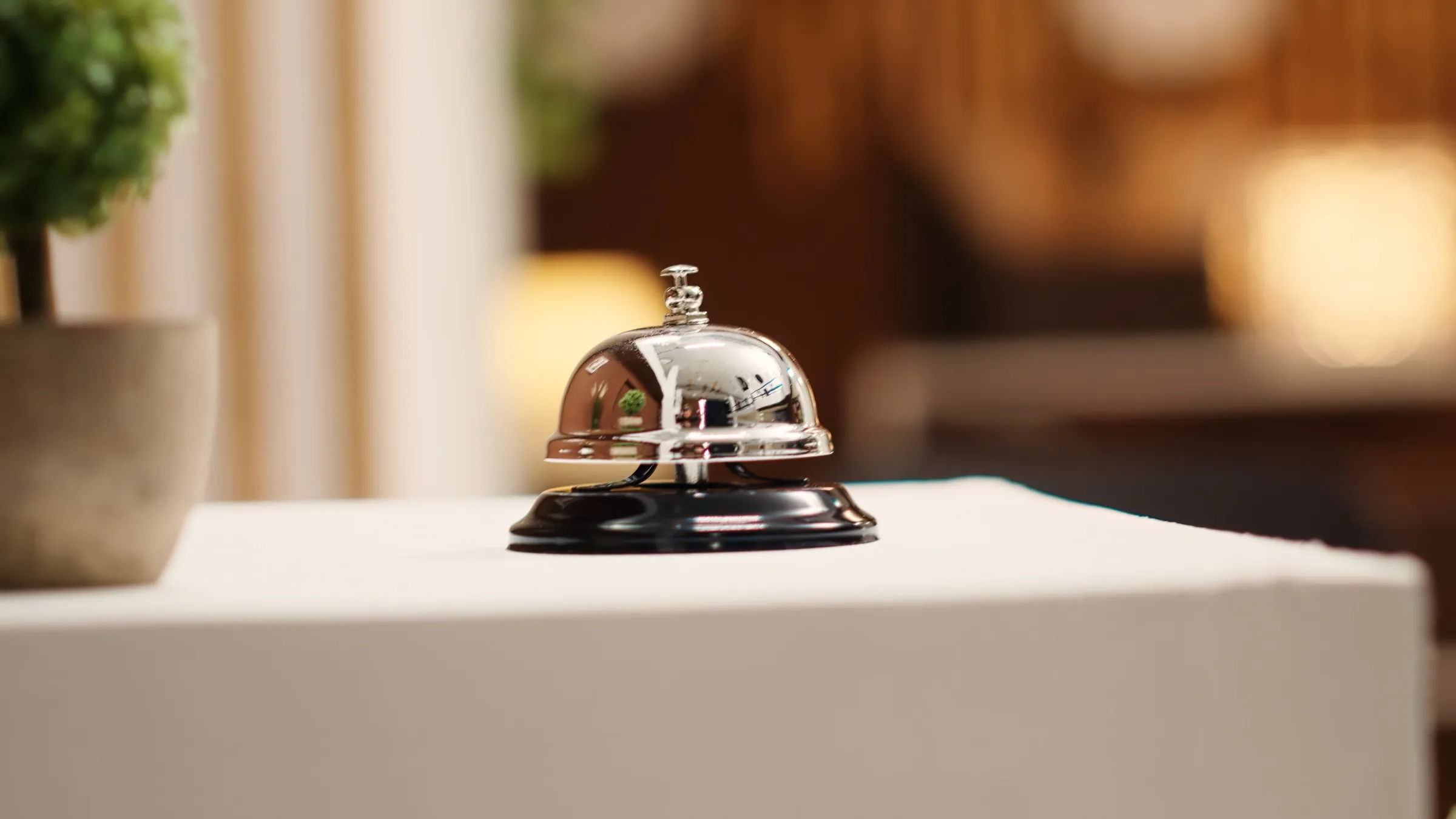 Profesional: Hoteleros y restauradores